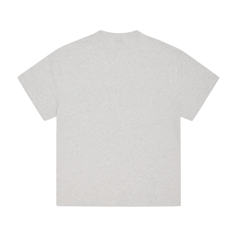 LION BOXY HEAVYWEIGHT TEE [LIGHT HEATHER]