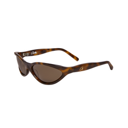 SPORTEIZ SUNGLASSES [TORTOISE]