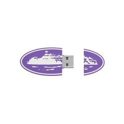 USB 32GB [PURPLE]